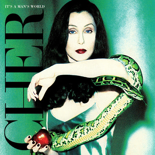Cher - It's A Man's World (1995) album